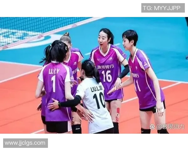 深圳排球队技术争议引发热议球迷与专家各抒己见探讨战术与表现