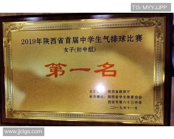 西安排球队实力深度剖析与对比分析报告 西安排球队实力深度剖析与对比分析报告